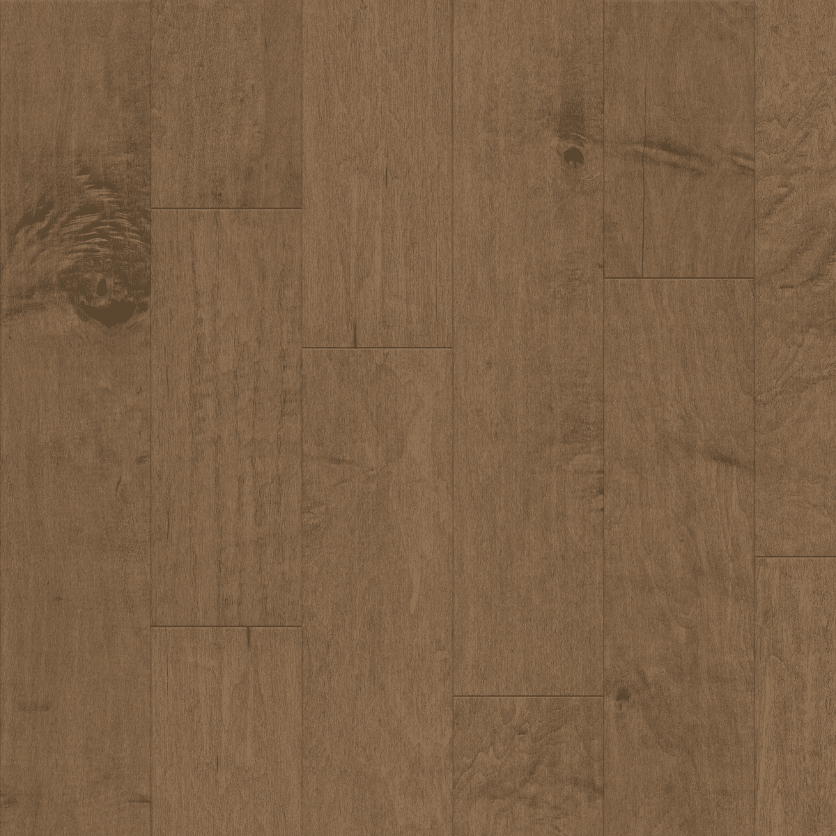 Mendocino - Buckskin - Image 3