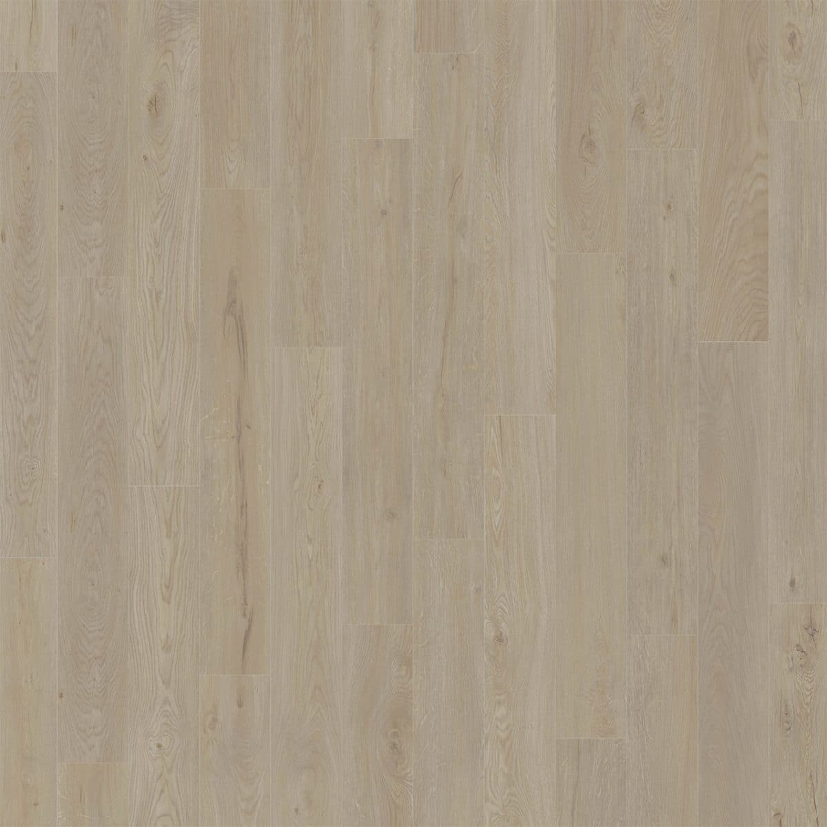 PureGrain High-Def AMERICAN STANDARD -  Jupiter