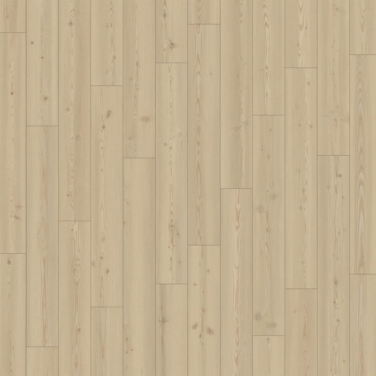 PureGrain High-Def DIVINE -  Glimmer