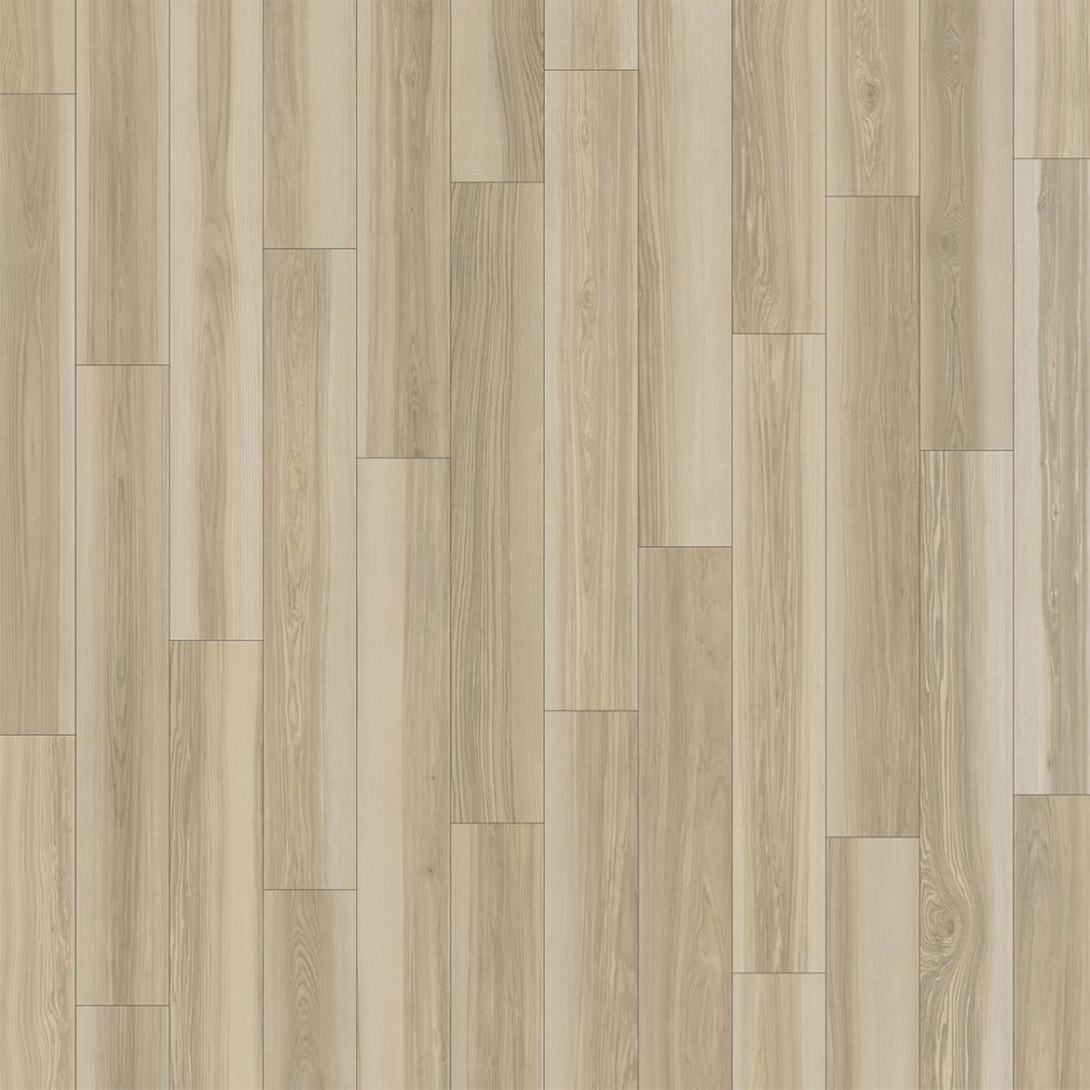 PureGrain High-Def DIVINE -  Aria