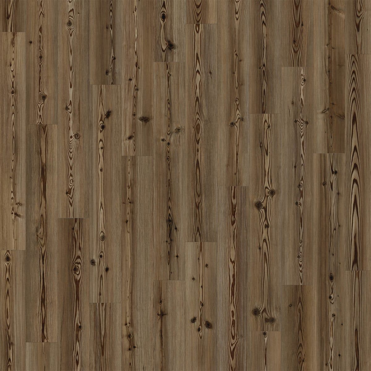 PureGrain High-Def ANTIQUITY -  Dynasty