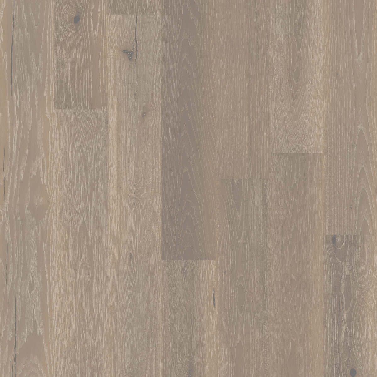 Exquisite - Beiged Hickory - Image 3