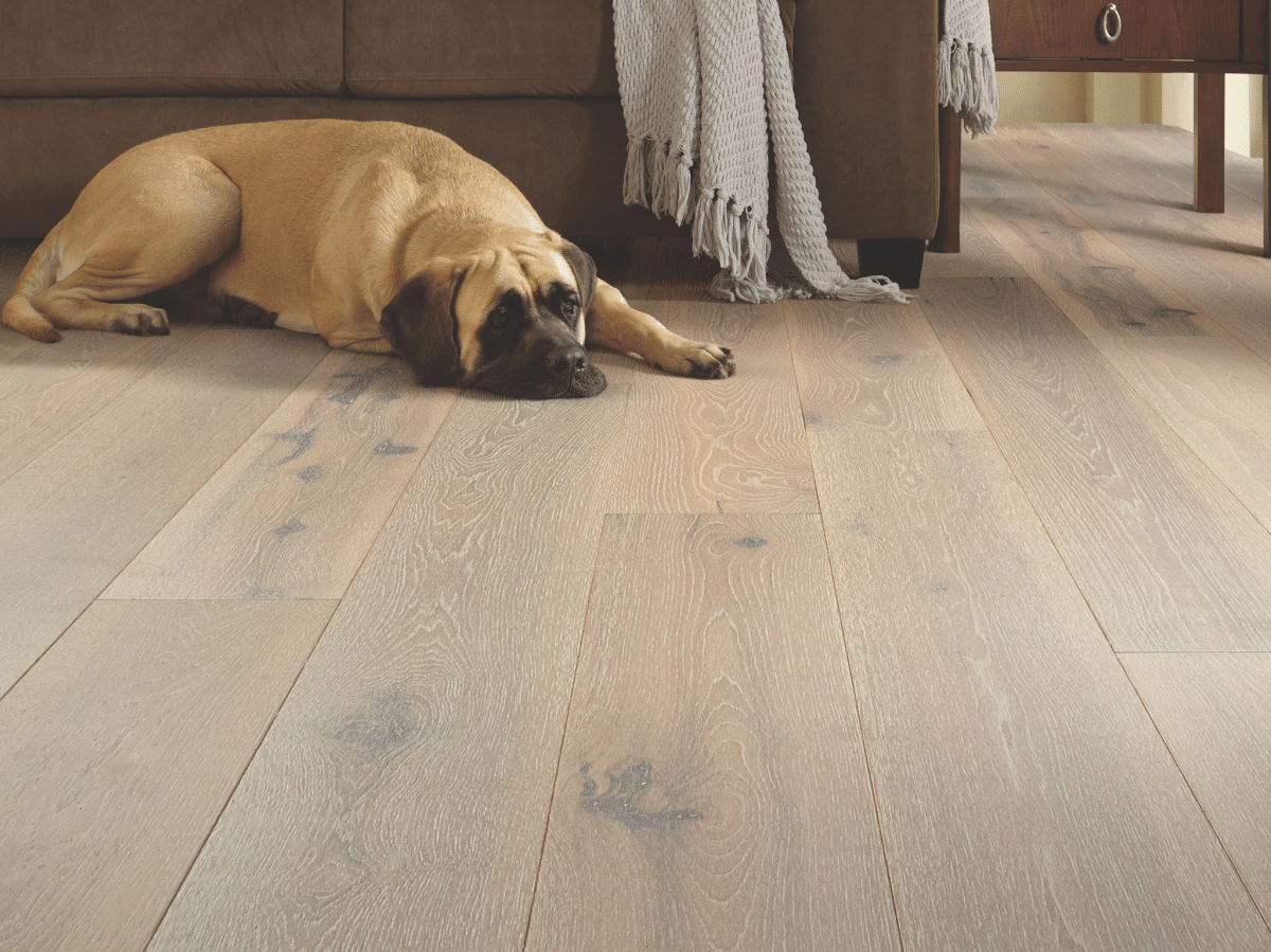 Exquisite - Beiged Hickory - Image 4