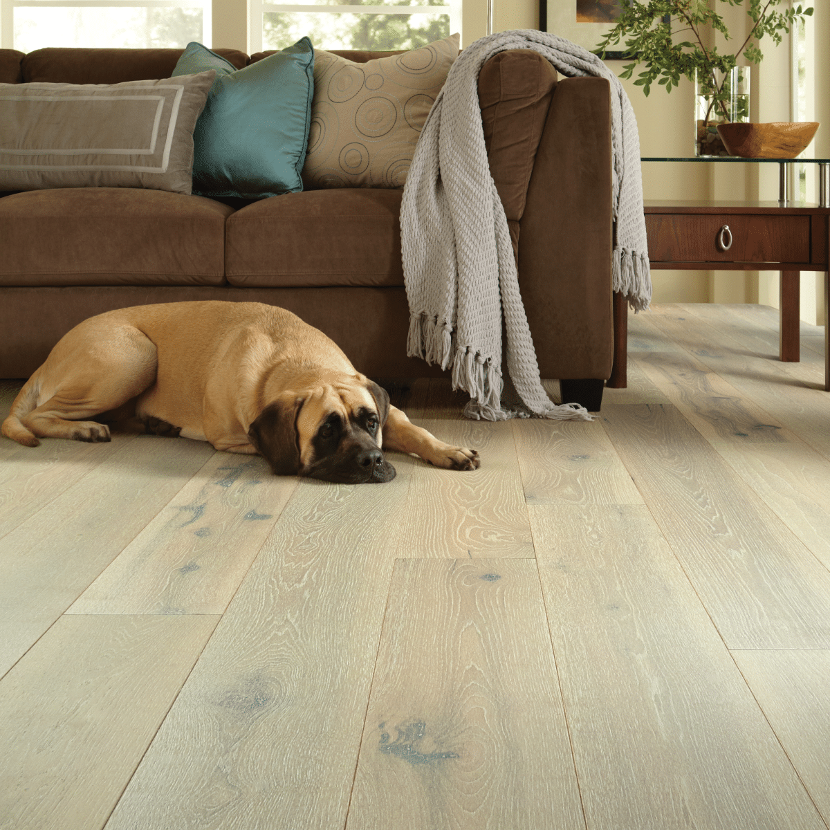 Exquisite - Beiged Hickory - Image 5