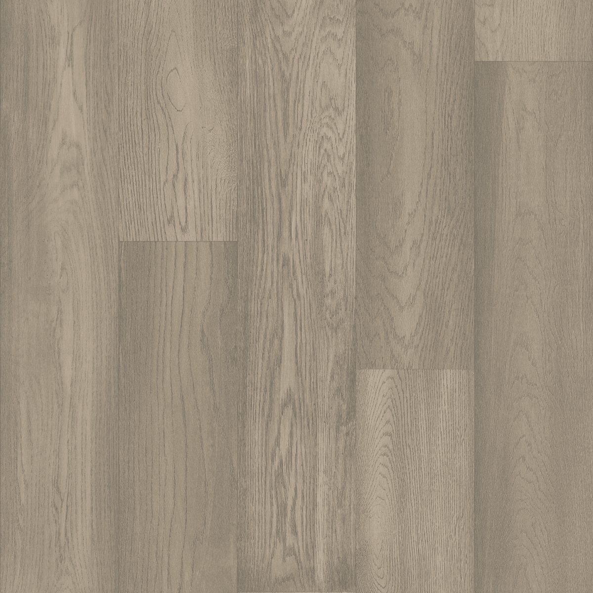 Exquisite - Ashton Oak - Image 3
