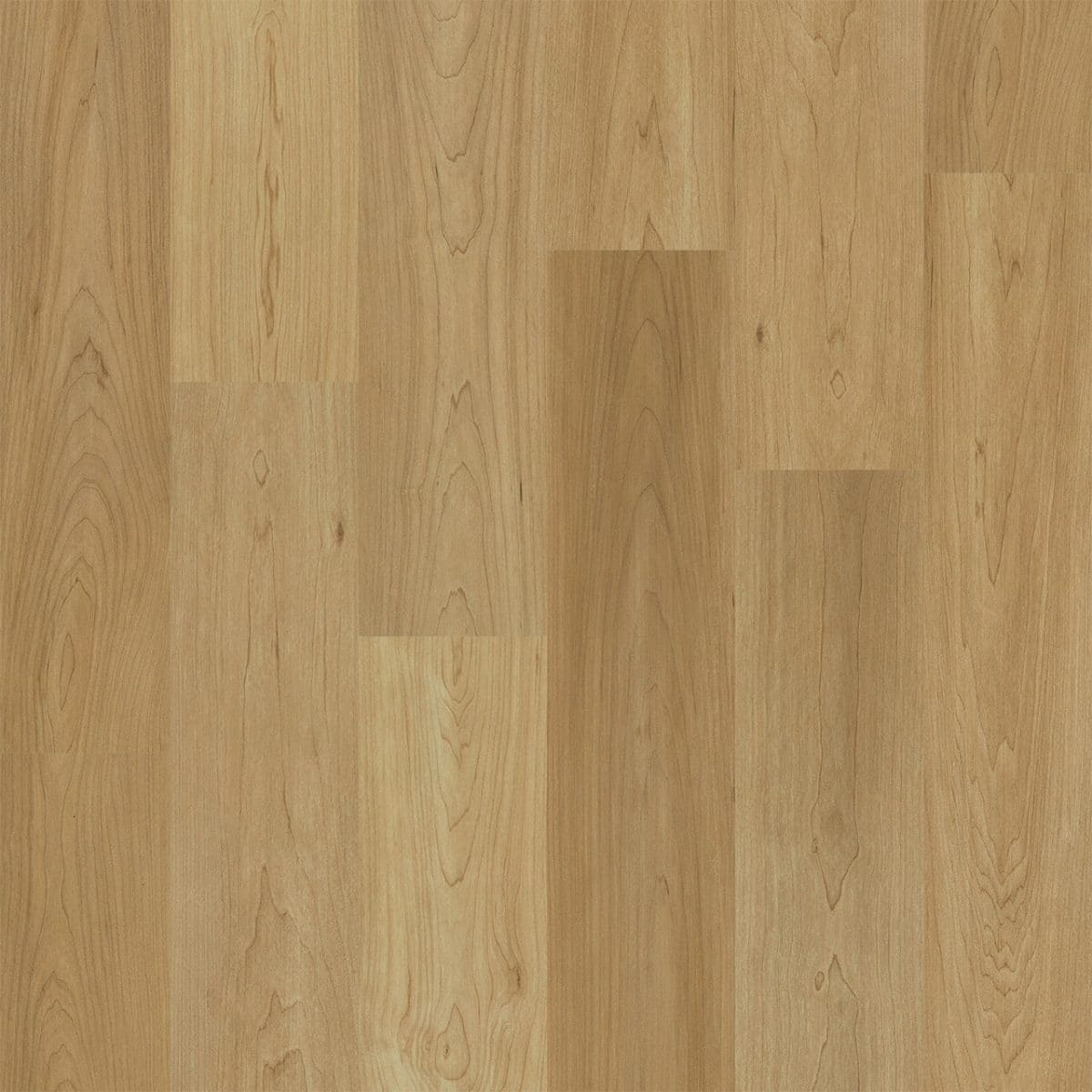PureGrain Renew EMPOWER -  Charlotte