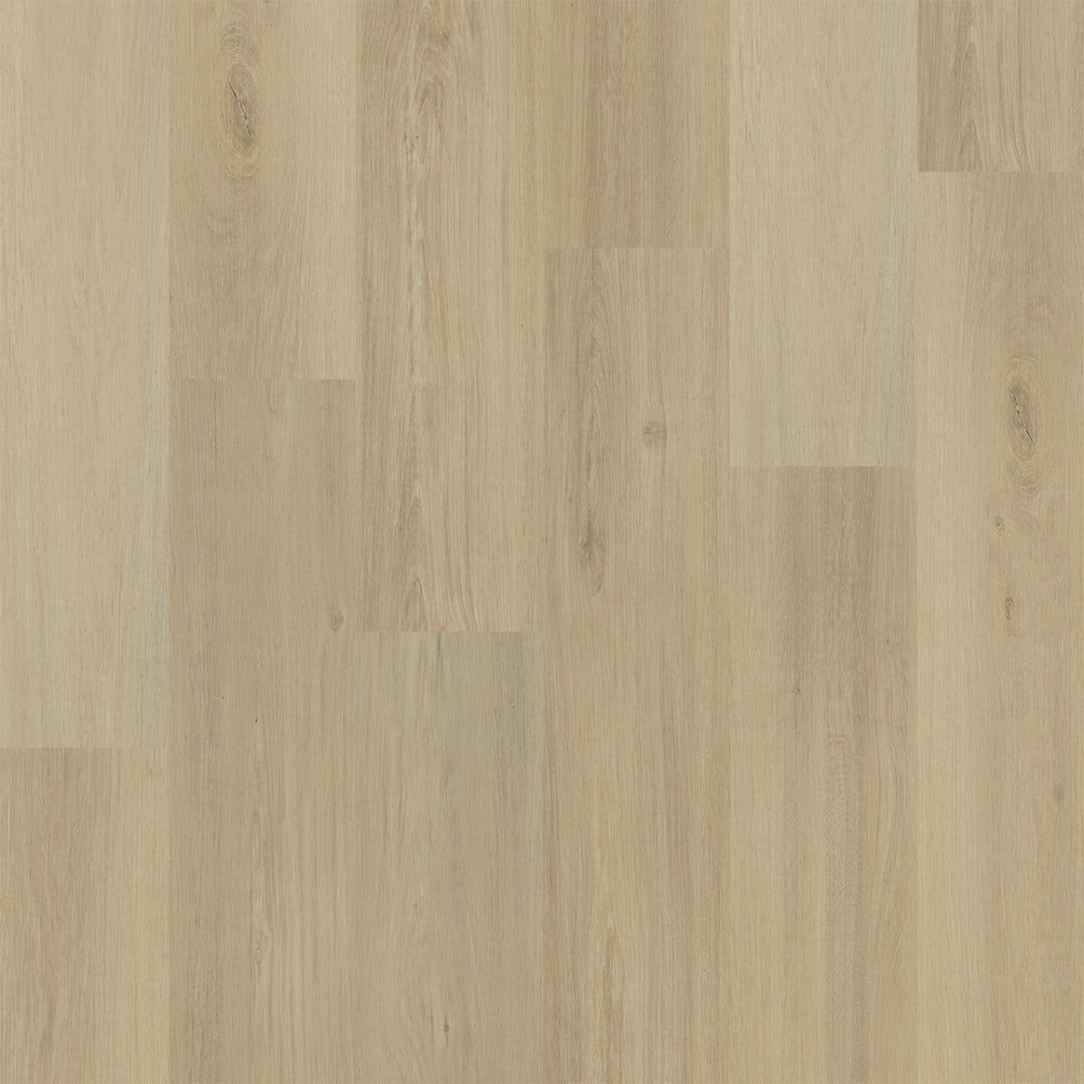 PureGrain Renew RESTORE -  Sydney