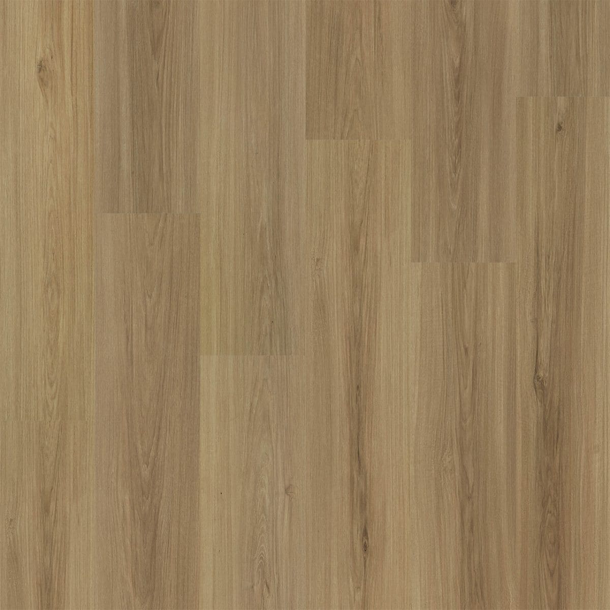 PureGrain Renew RESTORE -  Austin
