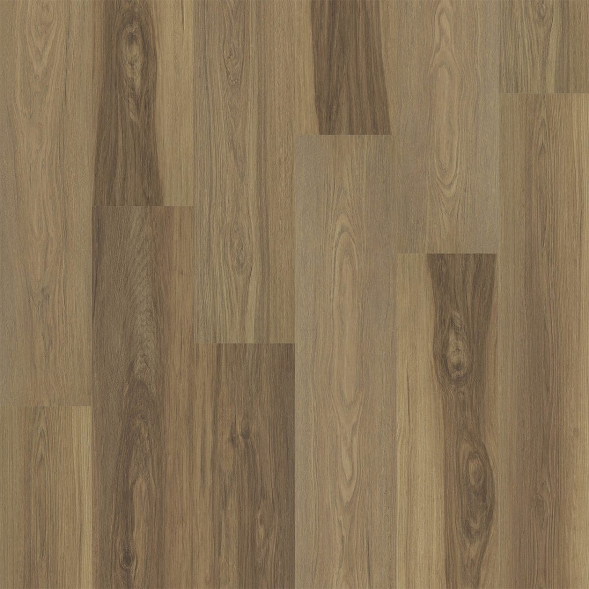 PureGrain Renew RESTORE -  Bristol