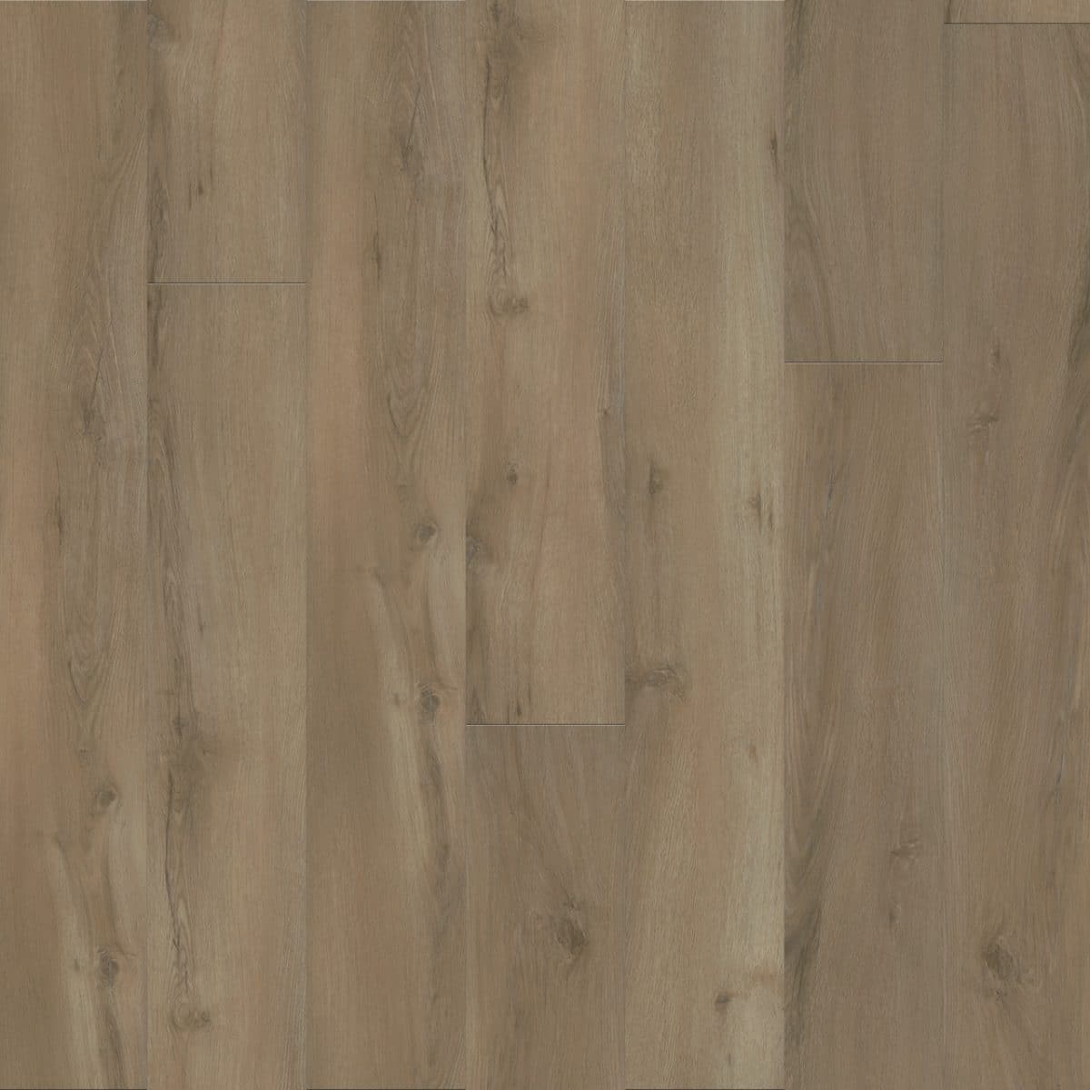 PureGrain Endure TIMELESS BEAUTY -  Gentry