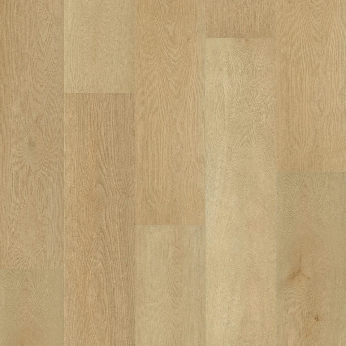 PureGrain Endure PREFERENCE -  Mesa Grand
