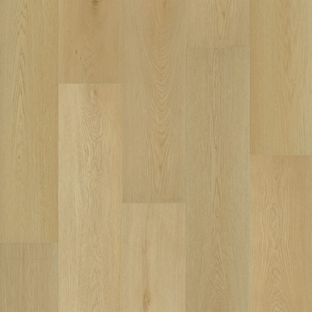 PureGrain Endure PREFERENCE -  Macadamia