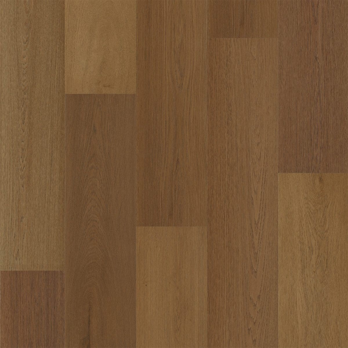 PureGrain Endure PREFERENCE -  Ghost Ranch