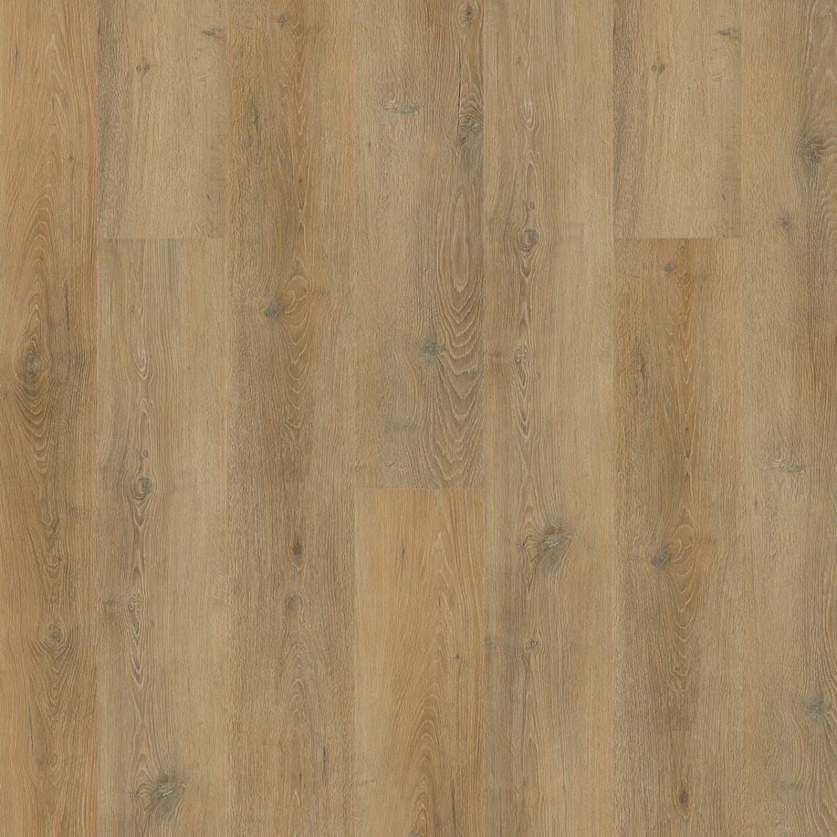 PureGrain Endure NEW STANDARD PLUS -  Easter Island