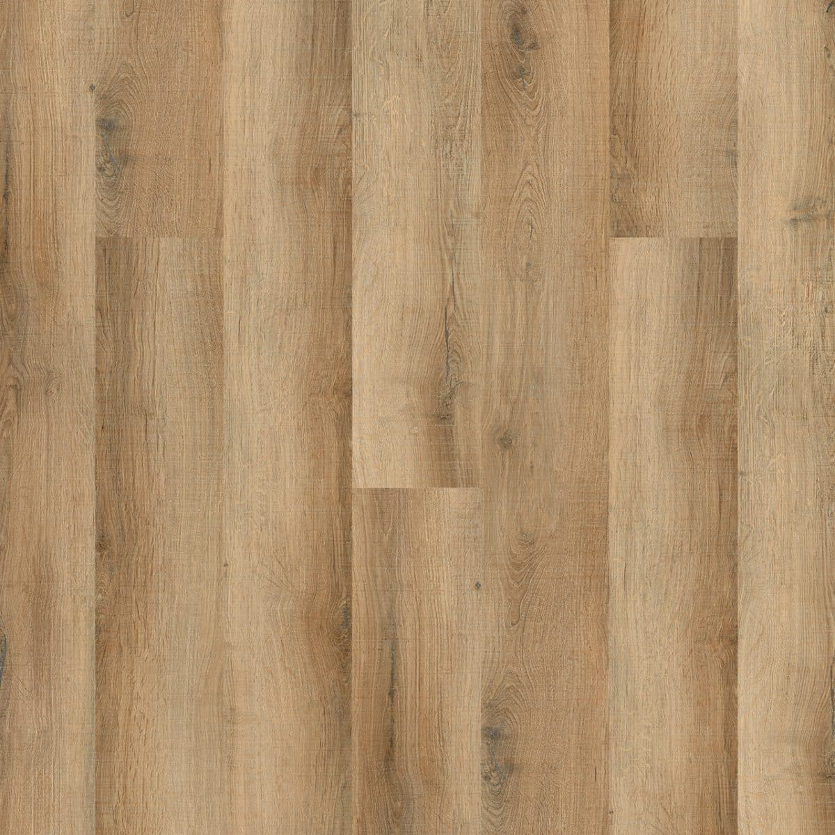 PureGrain Endure LIFESTYLE -  St. Thomas