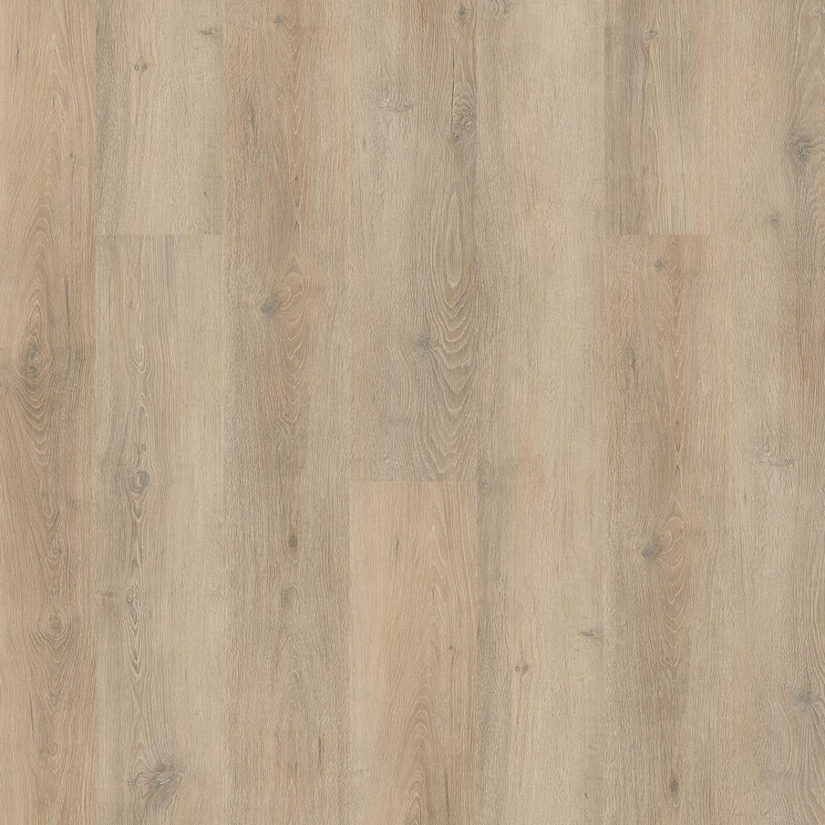 PureGrain Endure LIFESTYLE -  Clearwater
