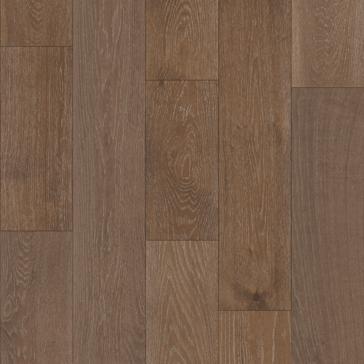 Argonne Forest Oak - Trestle - Image 3