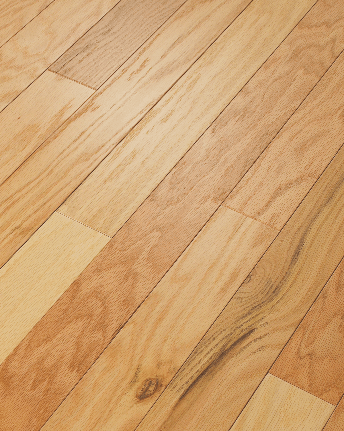 Arden Oak 3.25" - Rustic Natural - Image 2
