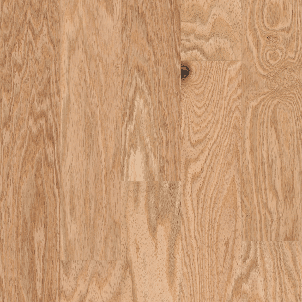 Arden Oak 5" - Rustic Natural - Image 3