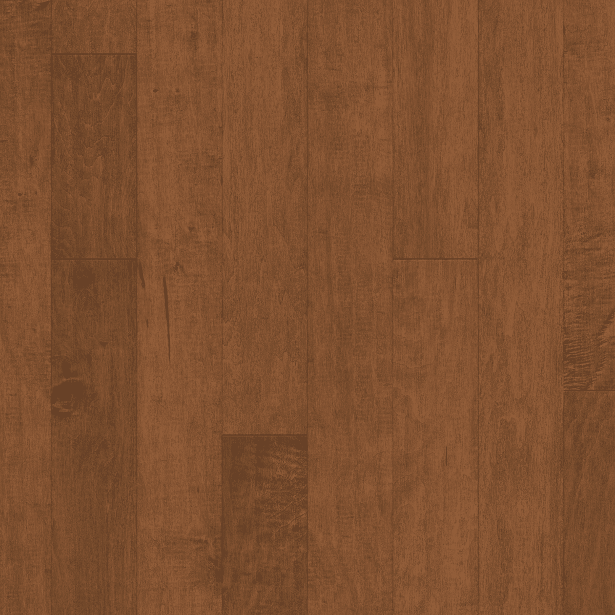 East Lake - Surfside - Image 2