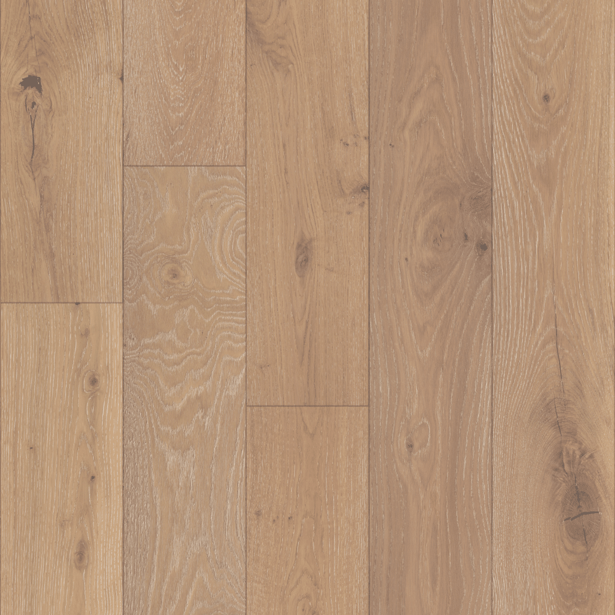Castlewood Oak - Tapestry - Image 3