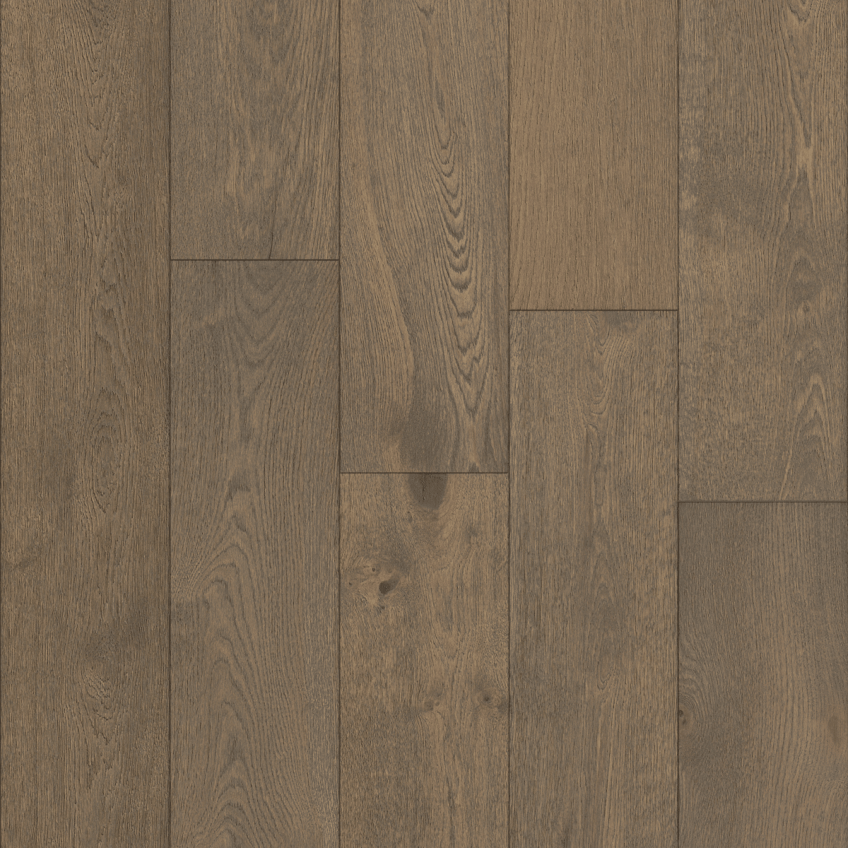 Castlewood Oak - Armory - Image 3