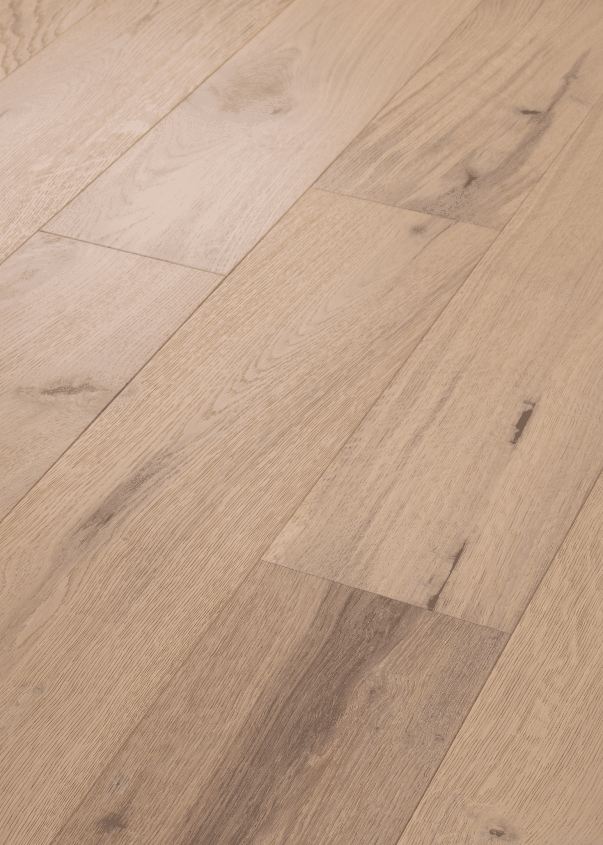 Castlewood Oak - Renaissance - Image 2