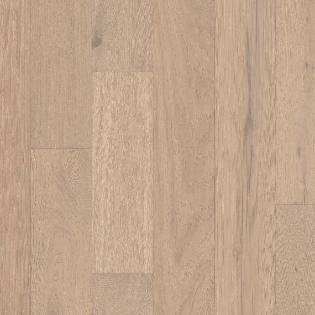 Castlewood Oak - Renaissance - Image 4