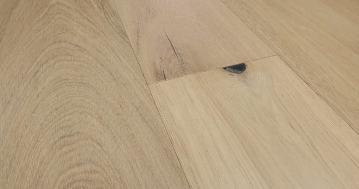 Castlewood Oak - Nobility