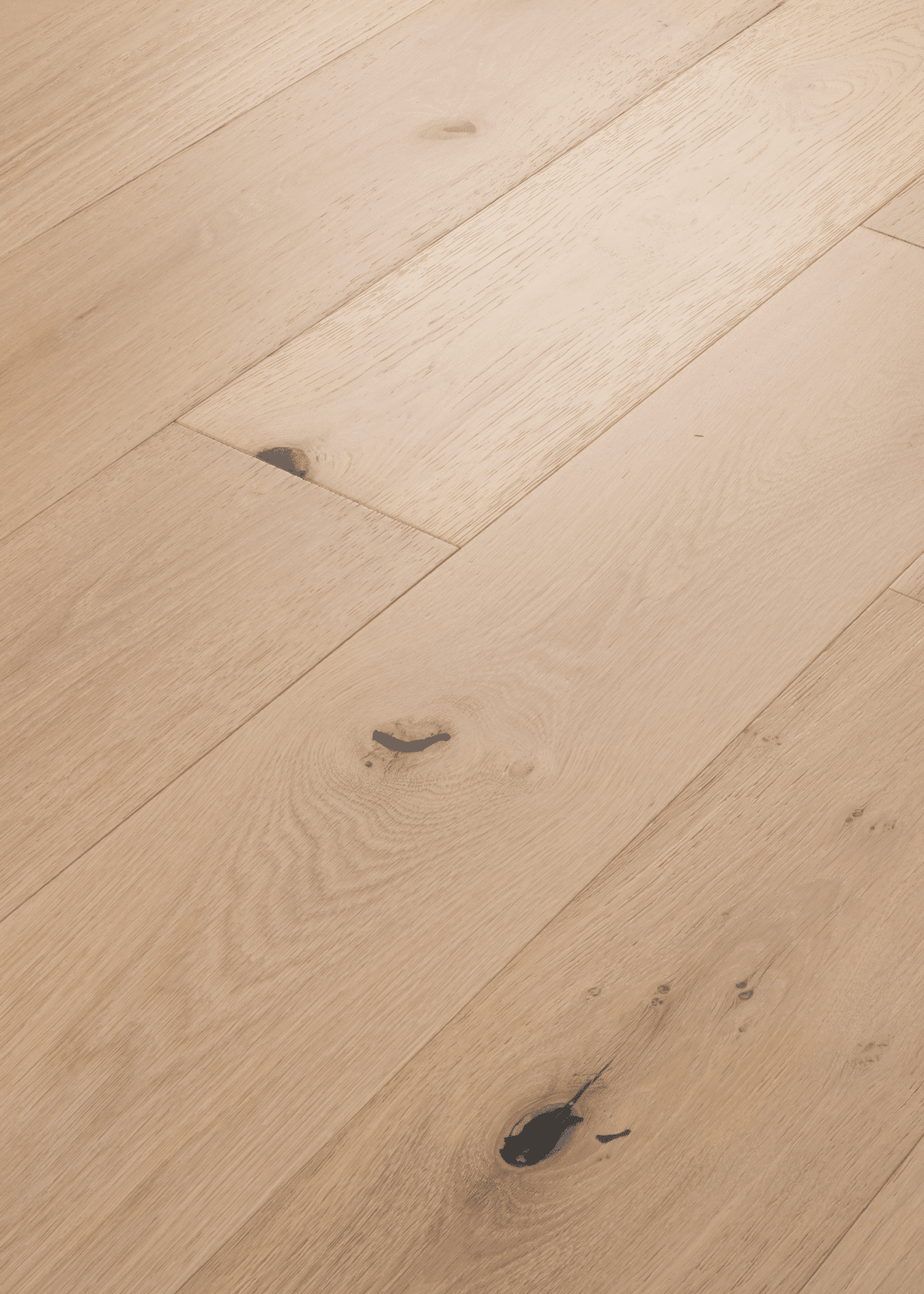 Castlewood Oak - Nobility - Image 2