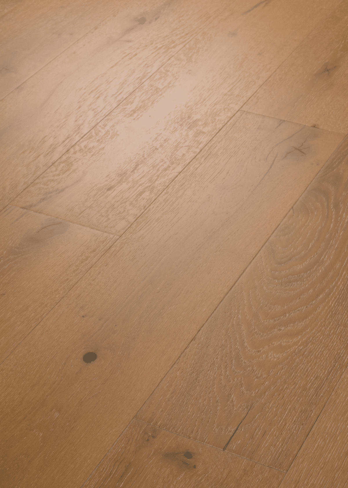 Castlewood Oak - Baroque - Image 2
