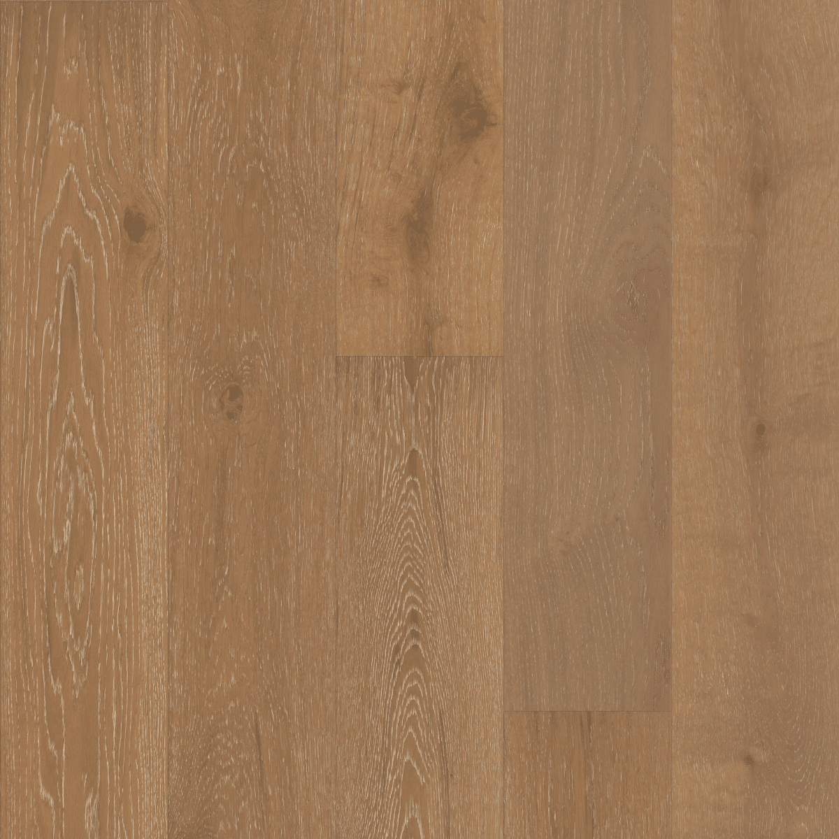 Castlewood Oak - Baroque - Image 4