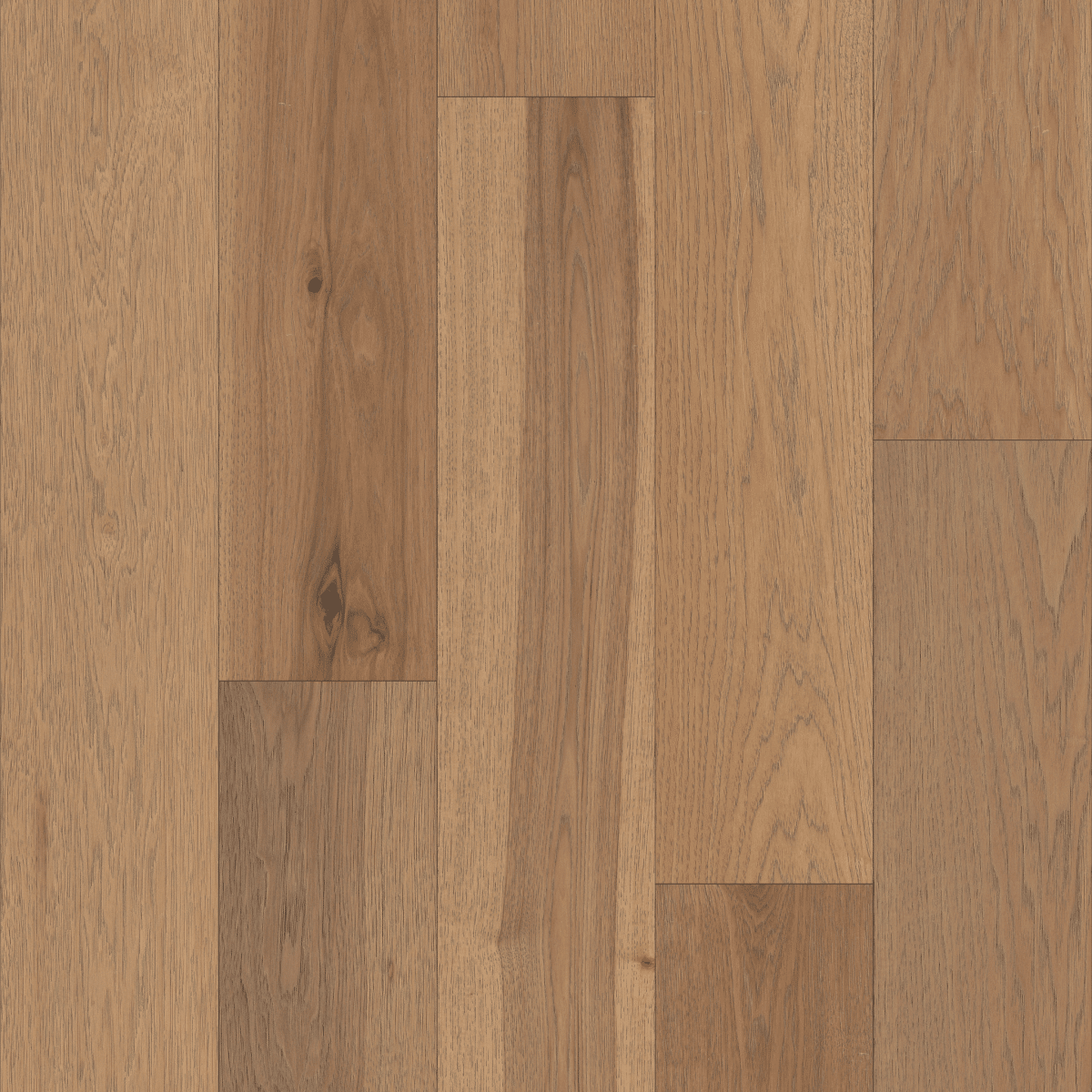 Castlewood Hickory - Highlands - Image 3