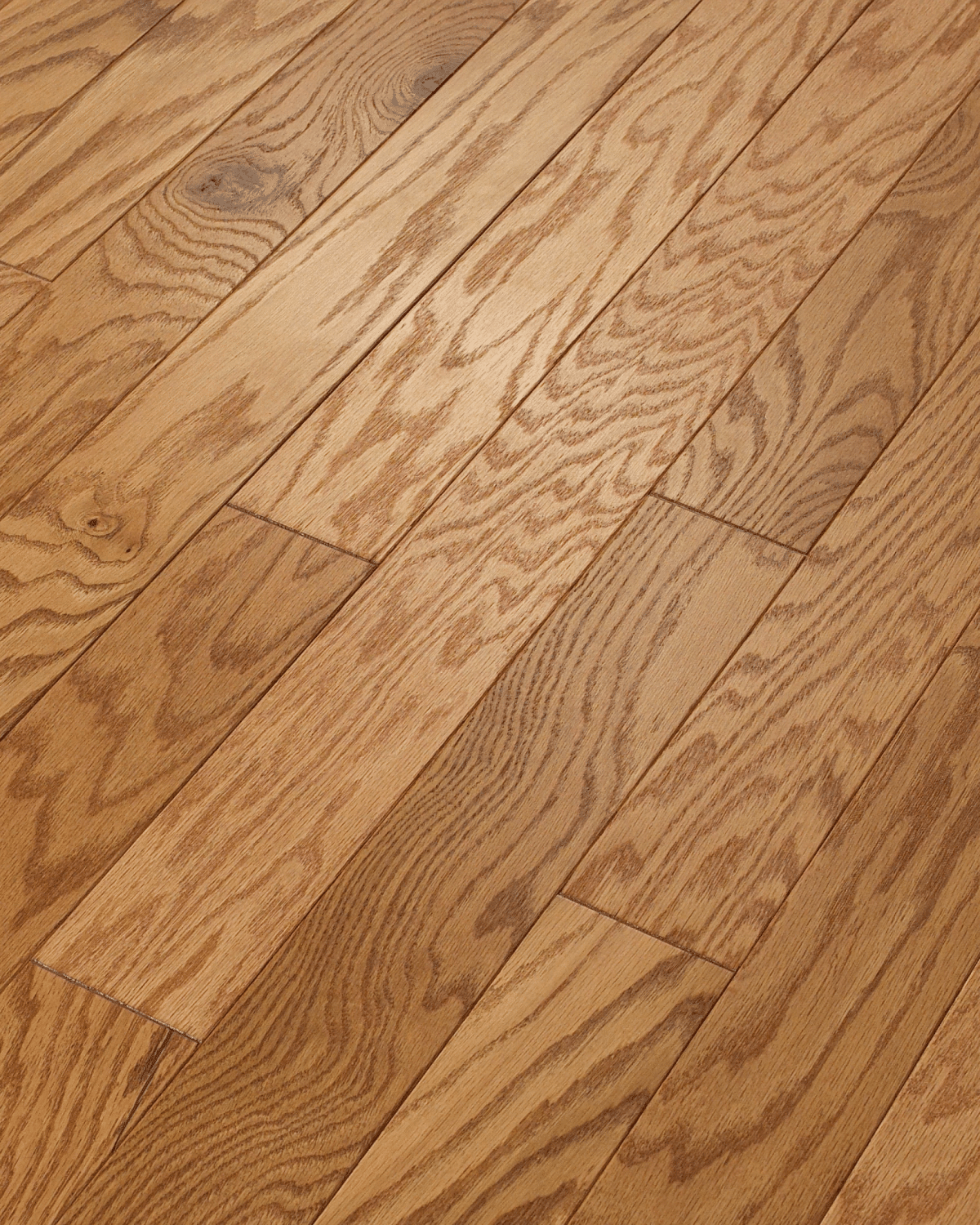 Shaw Albright Oak 3.25" - Caramel