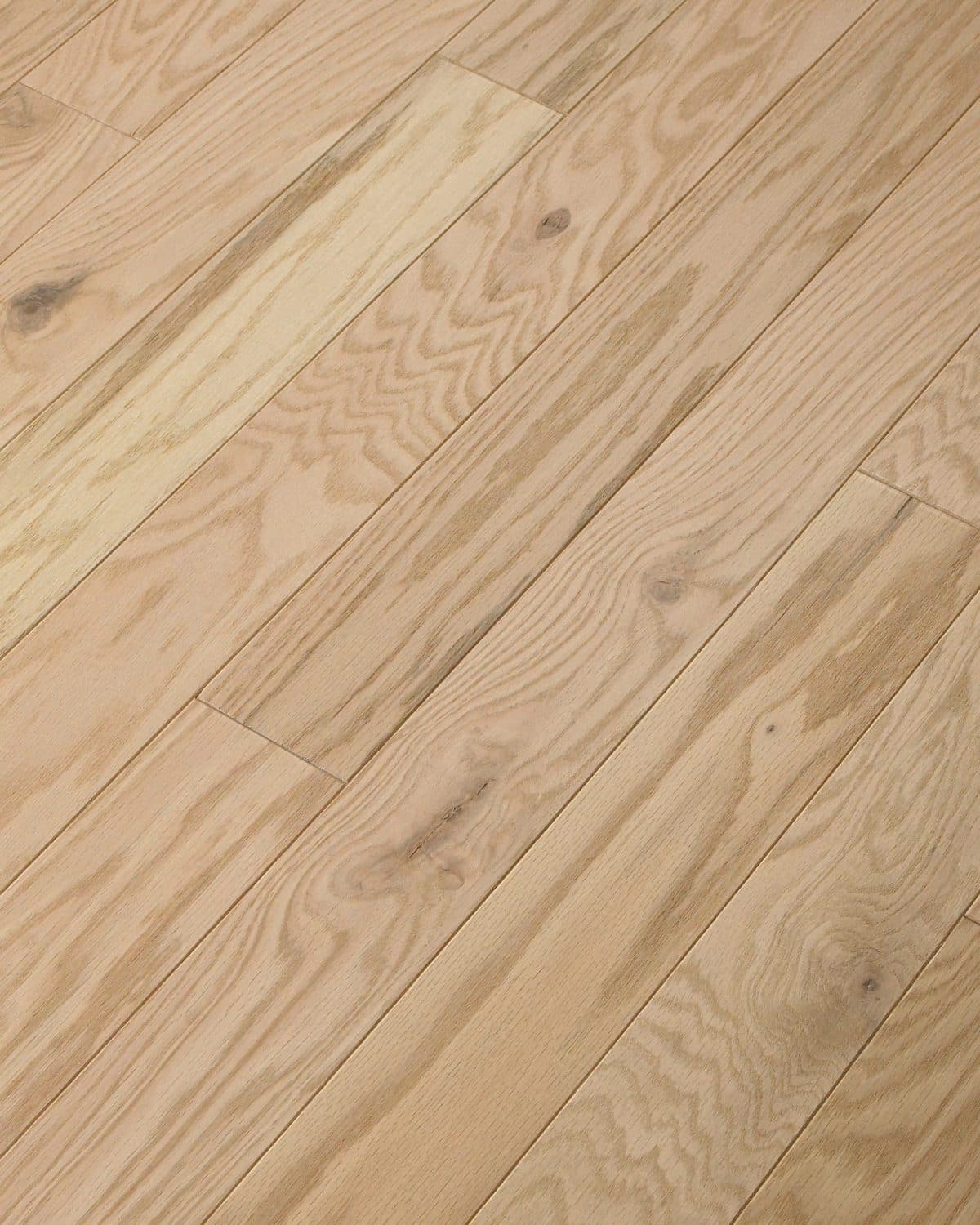 Shaw Albright Oak 3.25" - Biscuit Lg