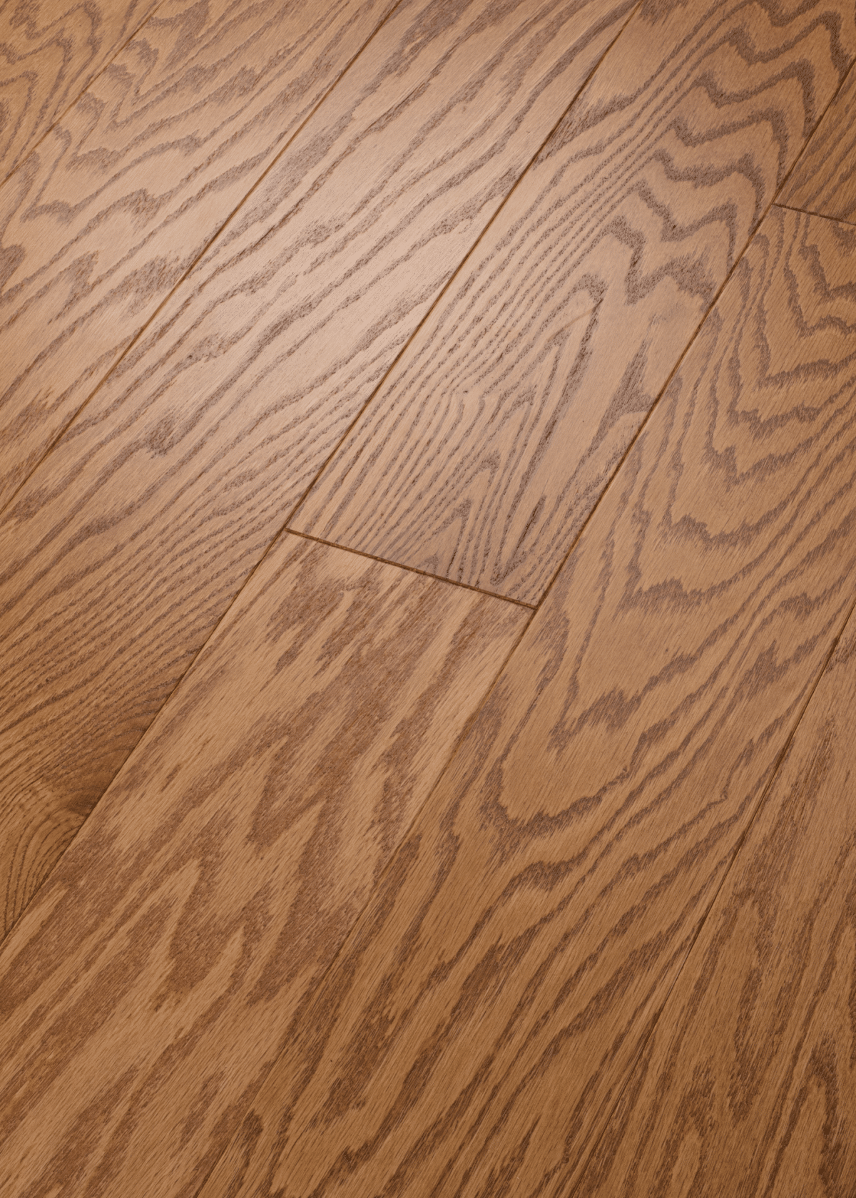Shaw Albright Oak 5" - Caramel - Image 2