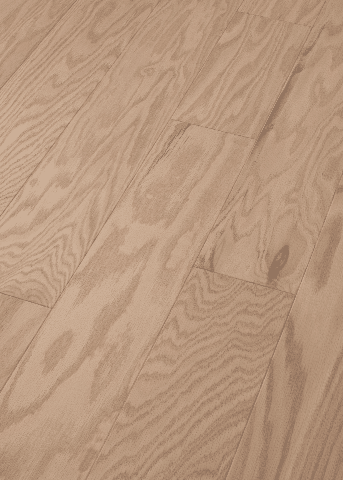 Shaw Albright Oak 5" - Biscuit Lg - Image 2