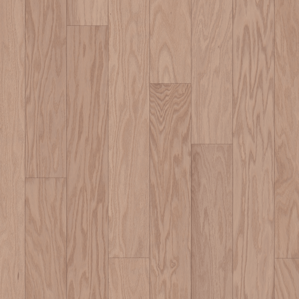 Shaw Albright Oak 5" - Biscuit Lg - Image 3