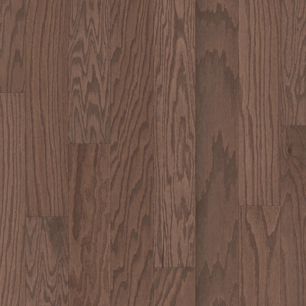 Shaw Albright Oak 5" - Kona Lg - Image 3