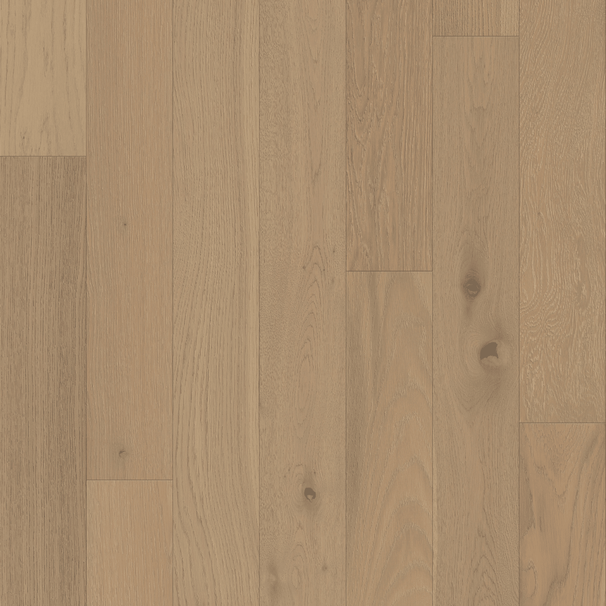 Empire Oak Plank - Vanderbilt - Image 3
