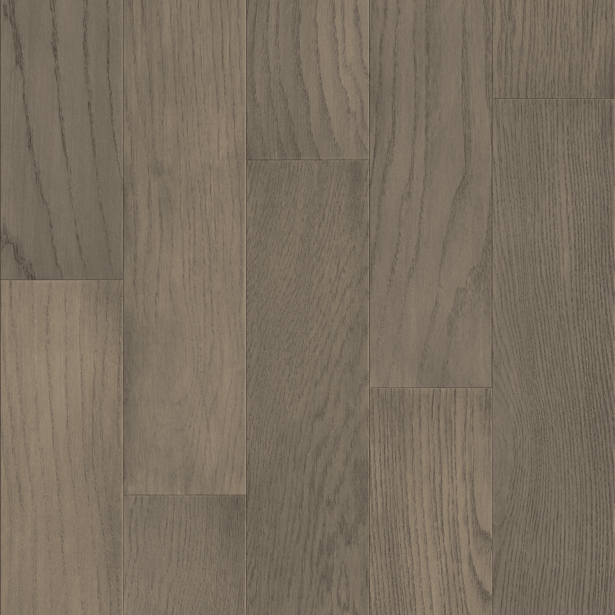 Fifth Avenue Oak - Roosevelt - Image 3