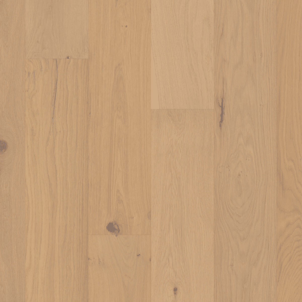 Couture Oak - Champagne - Image 2
