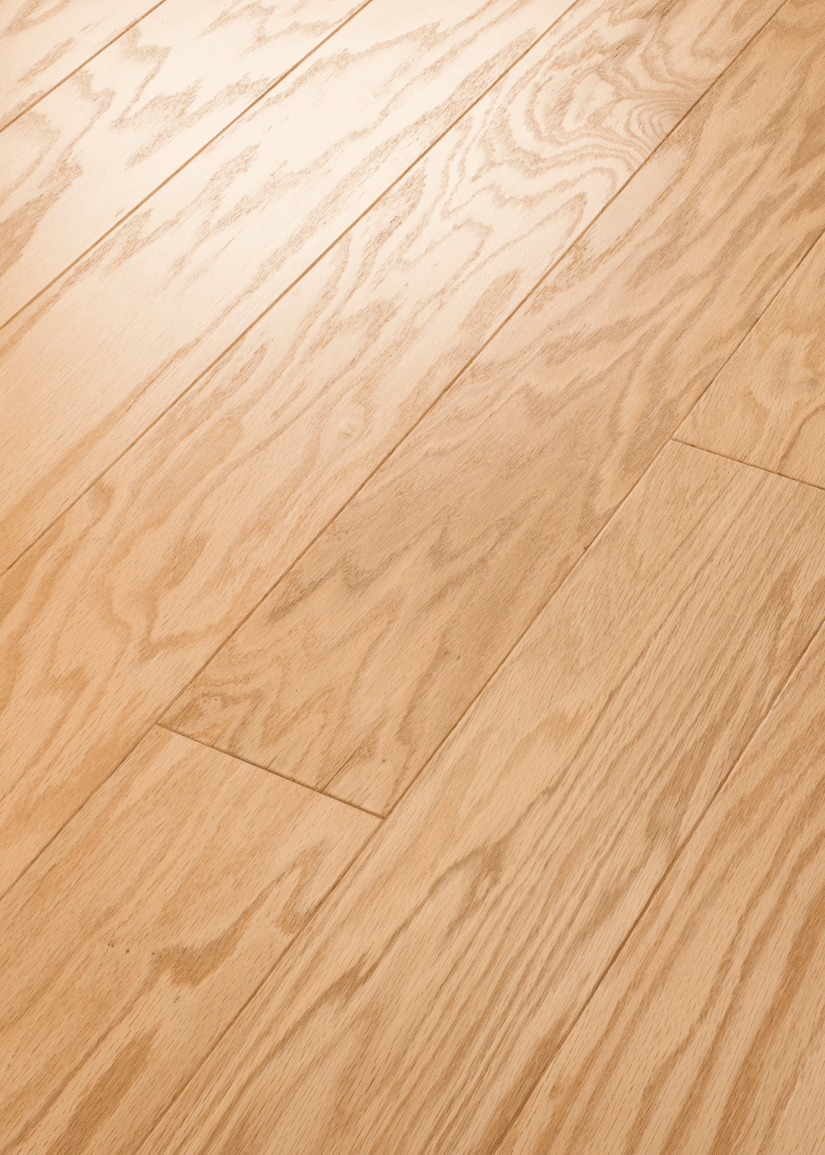 Timeless Oak 5"" - Natural - Image 2