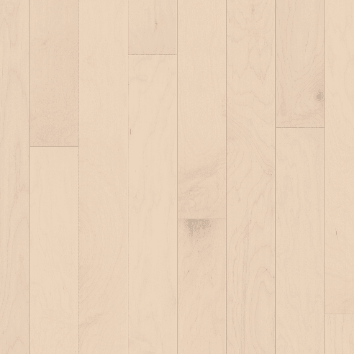 Eclectic Maple - Americana - Image 3
