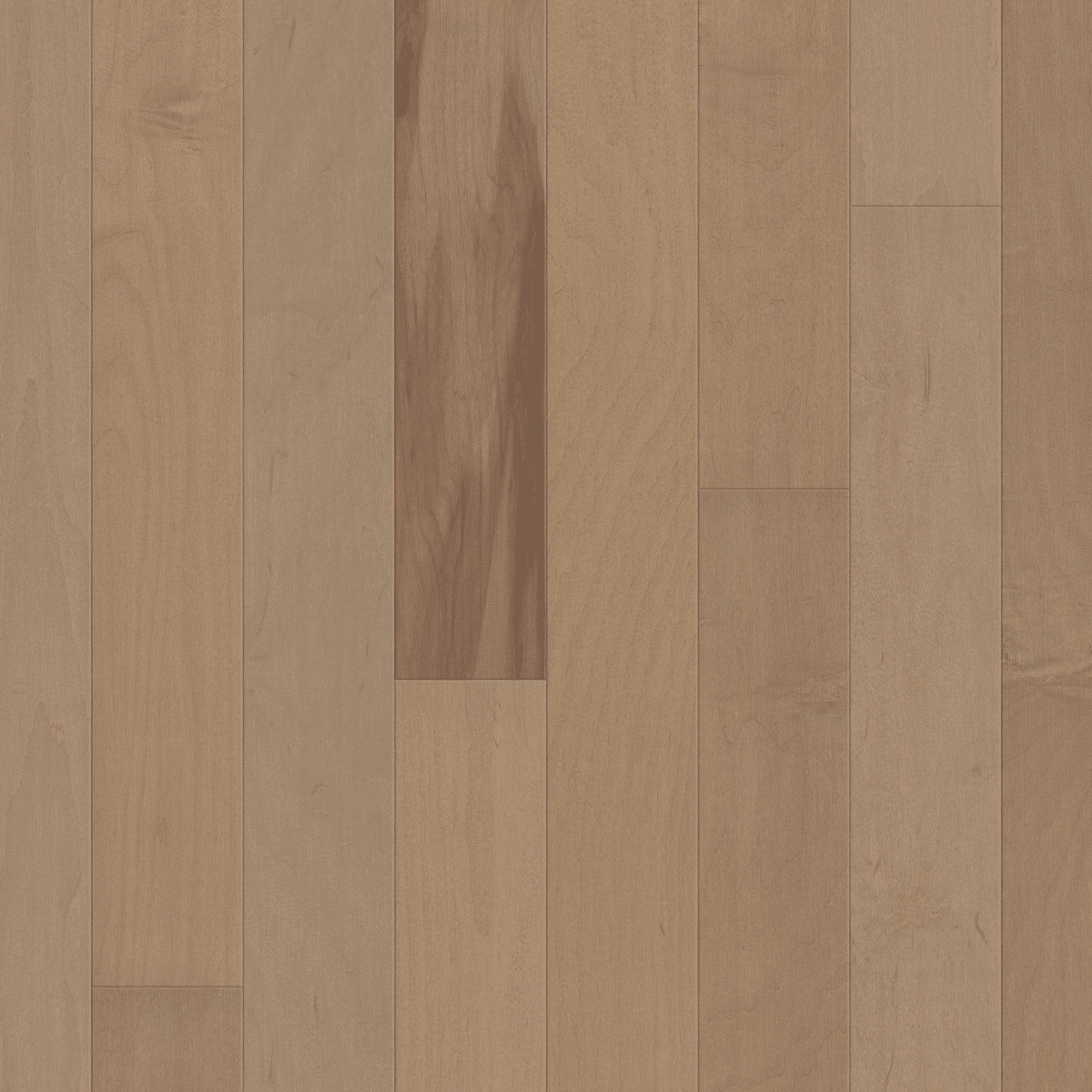 Eclectic Maple - Deco - Image 3