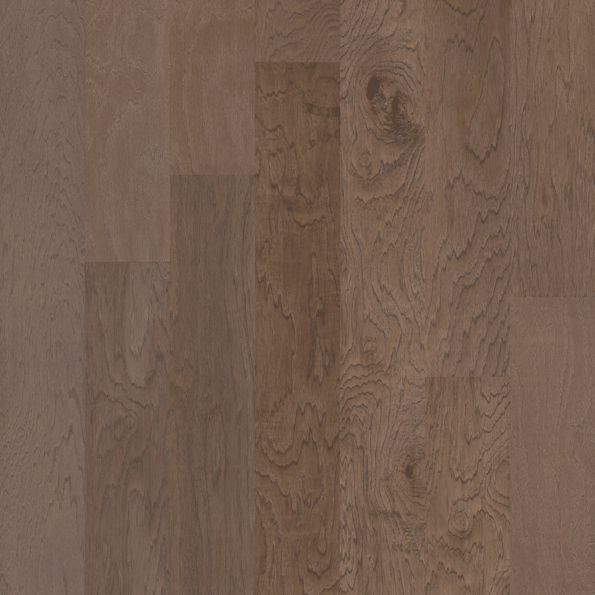 Shaw Alpine Hickory - Morningside - Image 3