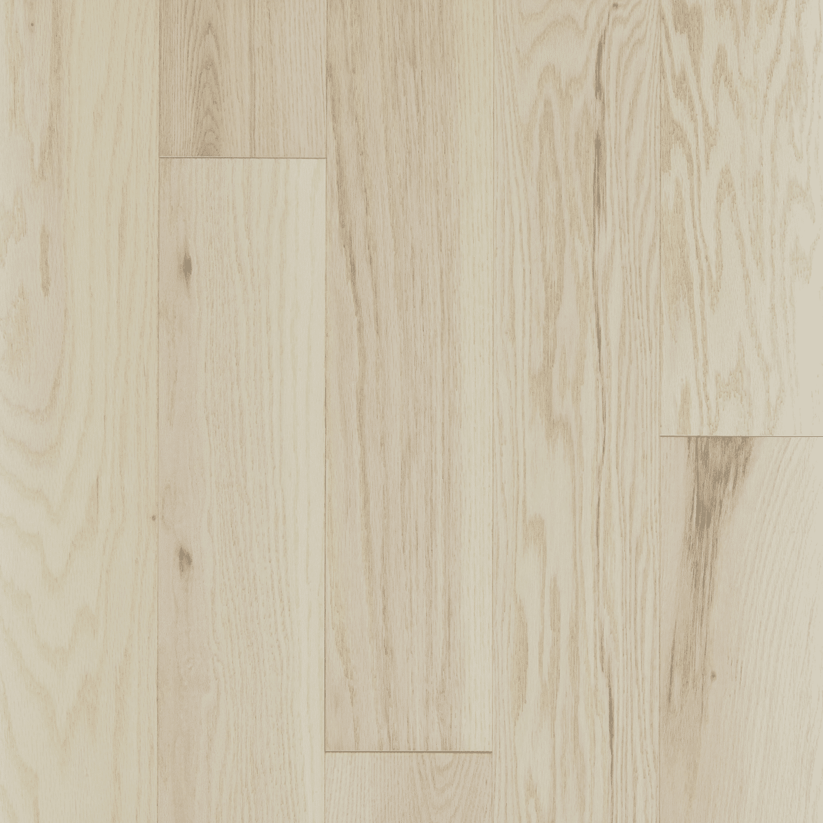 Exploration Oak - Passage - Image 2