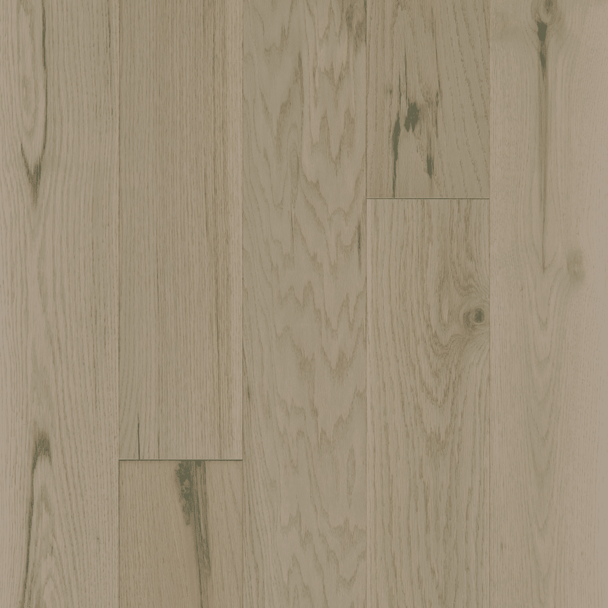 Exploration Oak - Harbor - Image 2