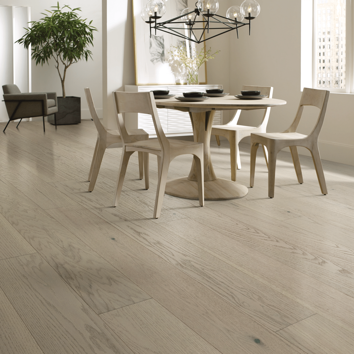 Exploration Oak - Harbor - Image 4