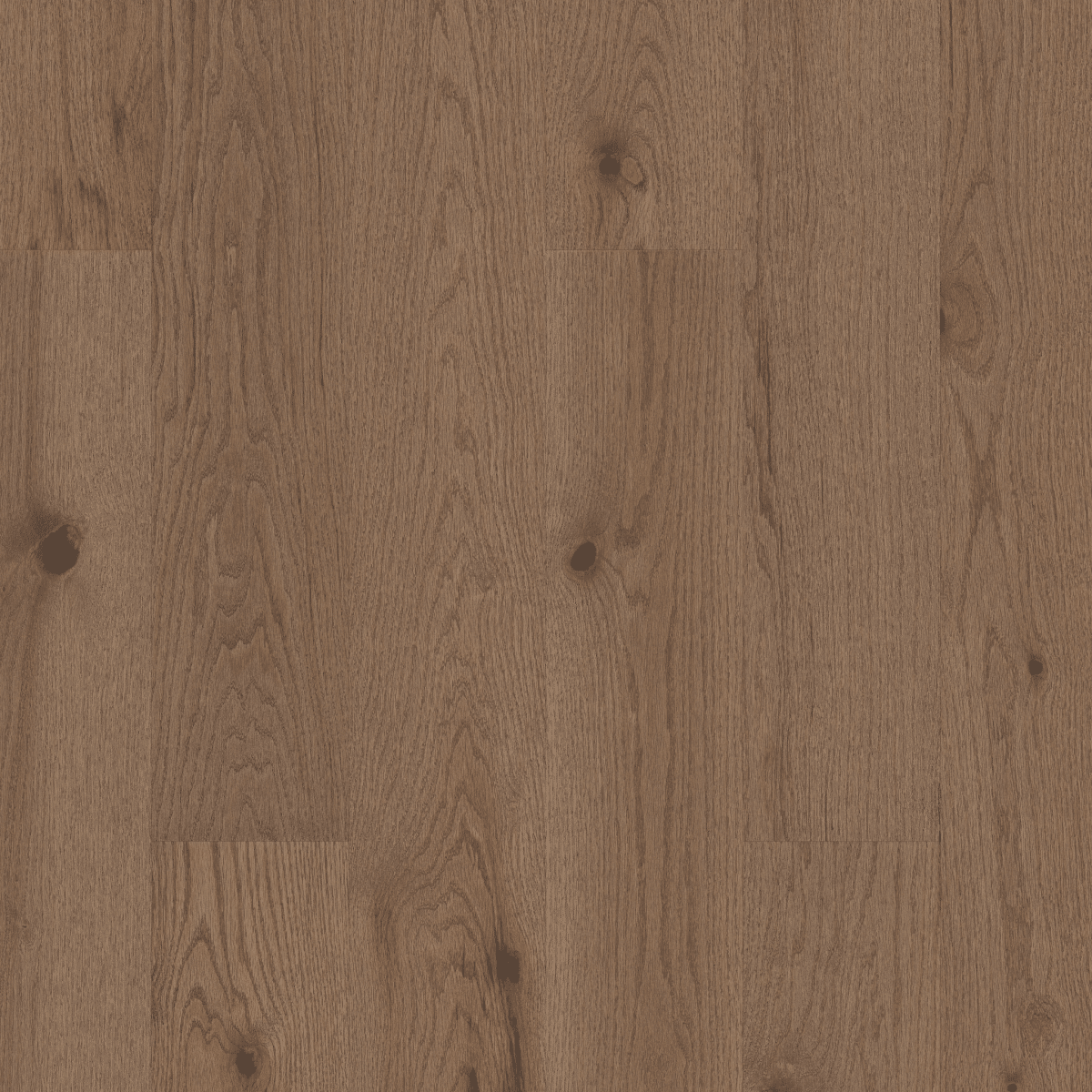 Exploration Oak - Canyon - Image 2